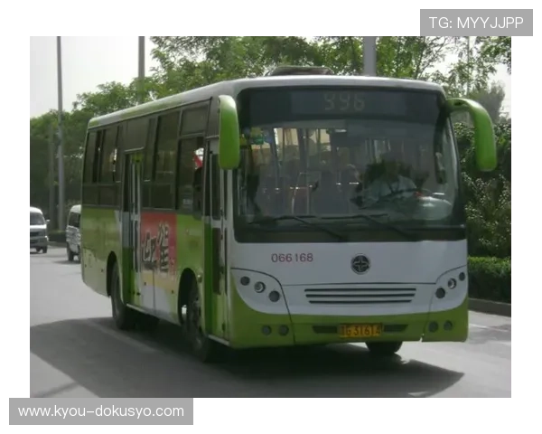 亚星YBL6986常见故障及维修解决方案，专业技术支持让你的设备保持最佳状态