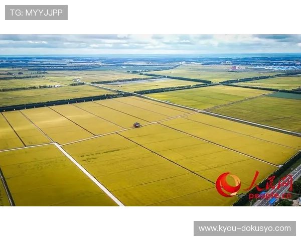 亚星国际电脑版的未来发展趋势与新功能预览,掌握最新动态抢先体验